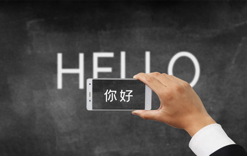 邯鄲軟件定制開發(fā)與外包服務(wù) 以萬幫為例的行業(yè)洞察