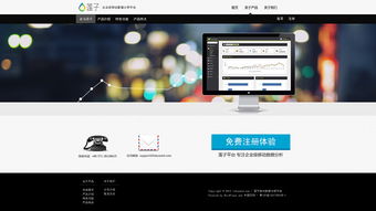 網(wǎng)站設(shè)計(jì) 從概念到用戶界面的藝術(shù)與科學(xué)